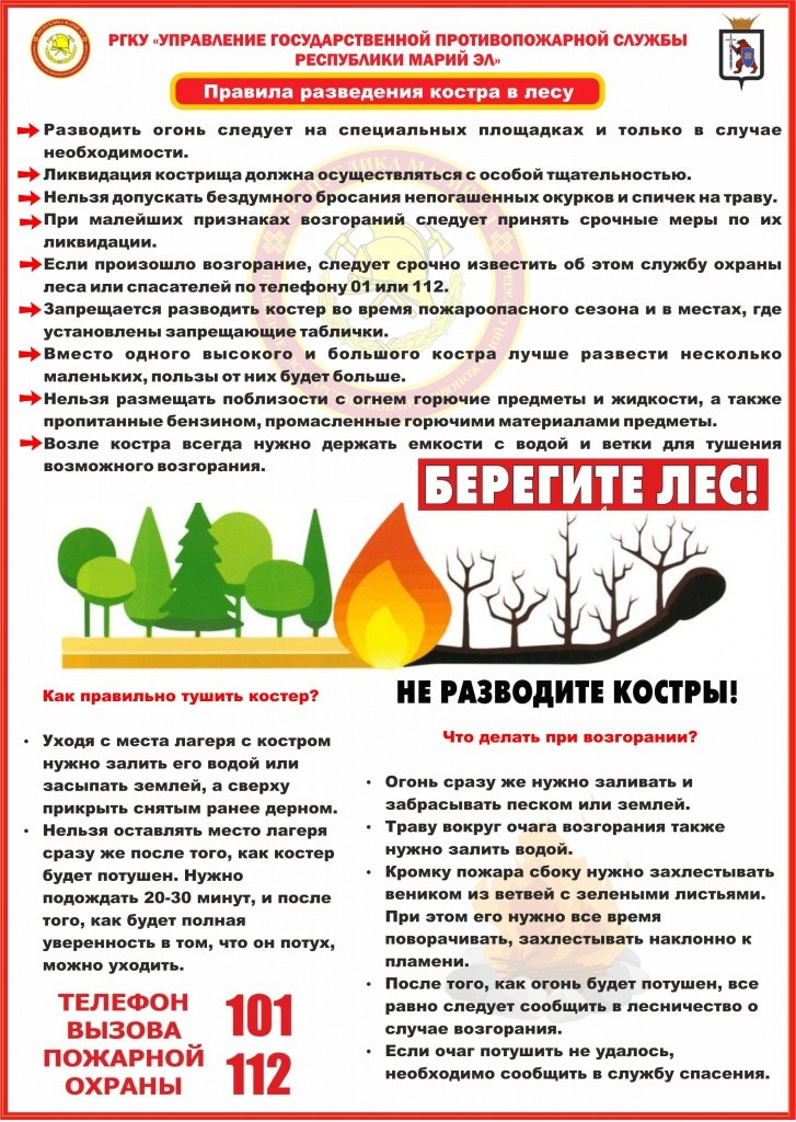 Правила разведения костра в лесу.jpg